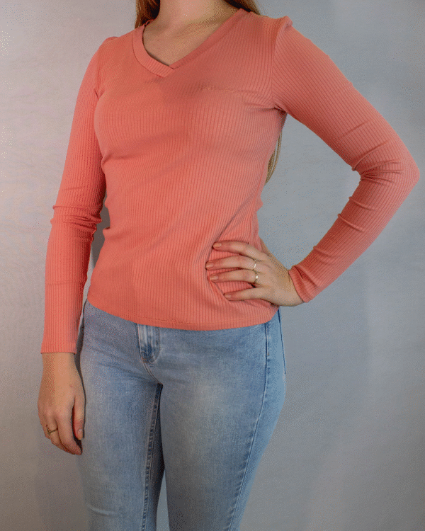 BLUSA FEMININA FLOR DE LIS JUSTA GOLA V - Imagem 3
