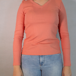 BLUSA FEMININA FLOR DE LIS JUSTA GOLA V