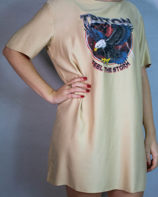 VESTIDO ESTAMPADO COM APLICACAO BEGE PILAR NºM - Imagem 3