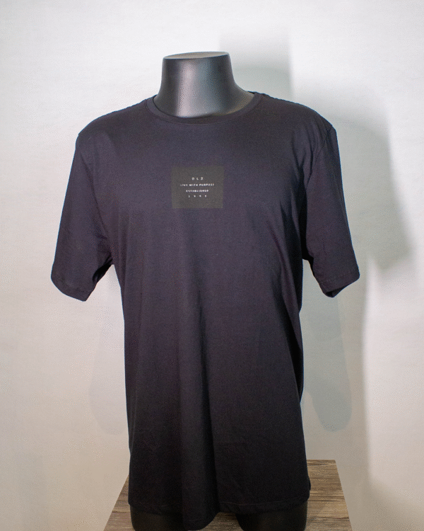 CAMISETA REGULAR MC PRETO DLZ NºGG